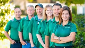 Our Team